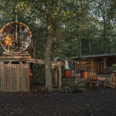 Tinyparks Forest Cabins Hoogersmilde Экстерьер фото