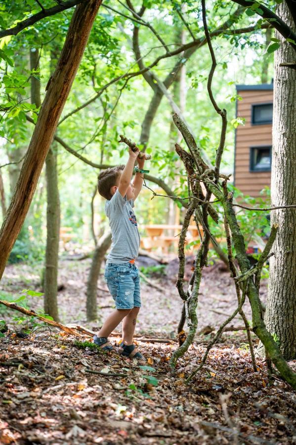Tinyparks Forest Cabins Hoogersmilde Экстерьер фото