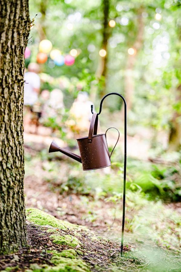 Tinyparks Forest Cabins Hoogersmilde Экстерьер фото