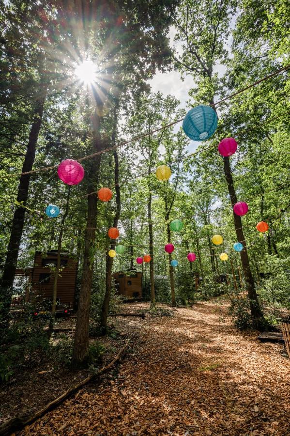 Tinyparks Forest Cabins Hoogersmilde Экстерьер фото
